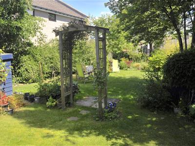 Picture 21